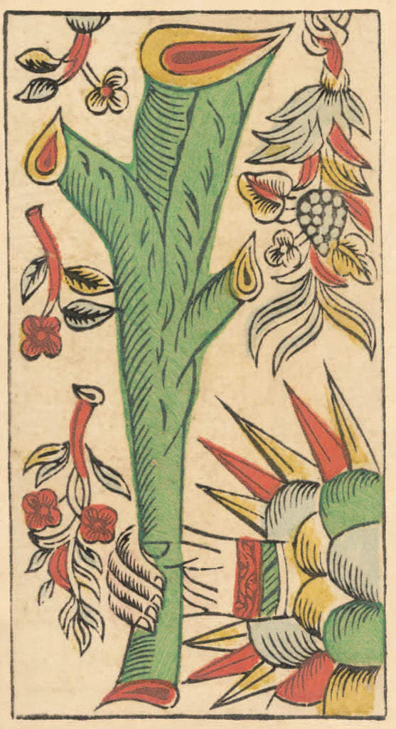 Decorative illustration of a stylized plant with colorful leaves and flowers on a beige background