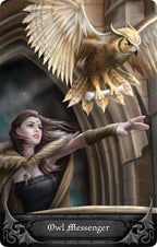 Fairy with an owl flying above her against a stone wall background