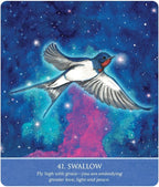 Swallow flying in a starry, cosmic sky with text below.