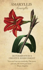 Illustration of a red amaryllis flower with text on a beige background