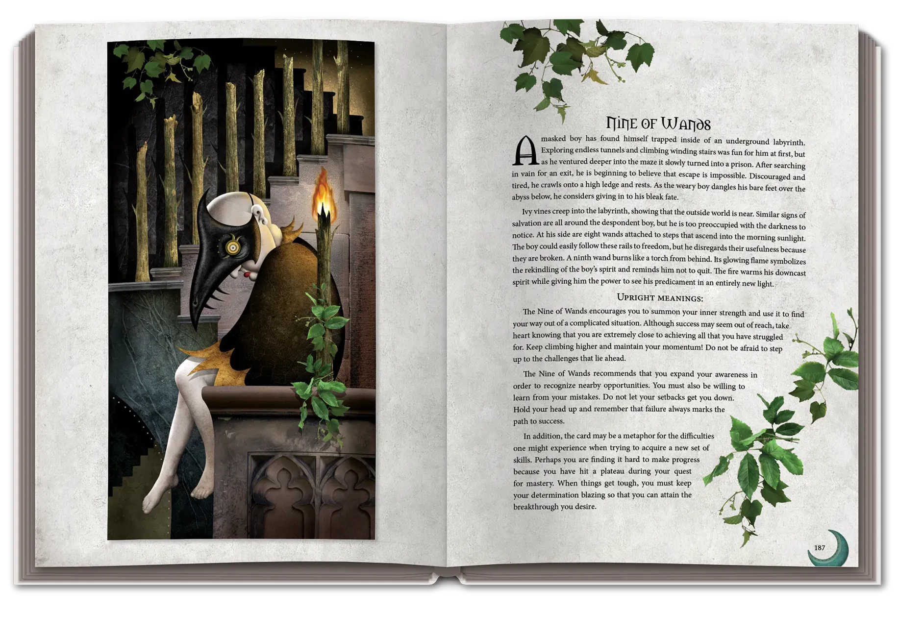 Open book with illustrations and text on a dark background