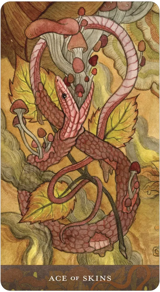 Card featuring a dragon and mushrooms with 'Ace of Skins' text on a textured background