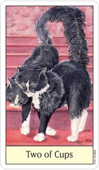 Two cats standing close together with a long tail, labeled 'Two of Cups' on a red background.