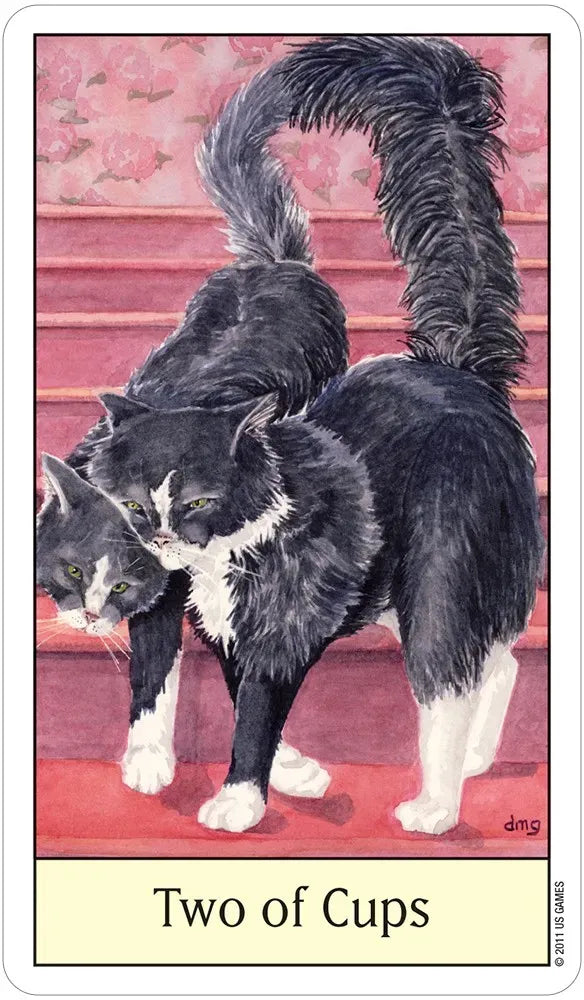 Two cats standing close together with a long tail, labeled 'Two of Cups' on a red background.