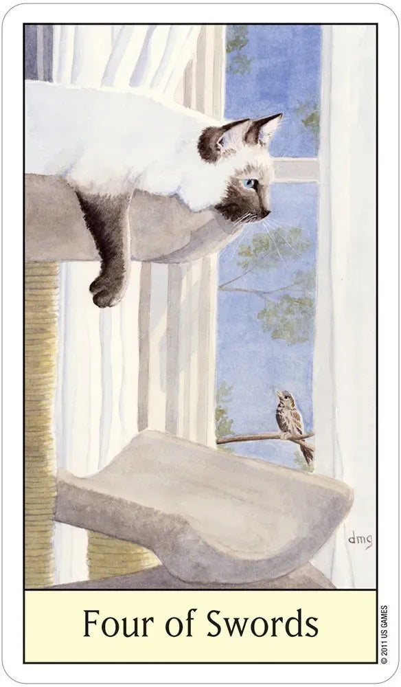 Card from a tarot deck featuring a cat on a windowsill with a bird, labeled 'Four of Swords'.