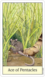 Card featuring two rats in grass with 'Ace of Pentacles' text at the bottom.
