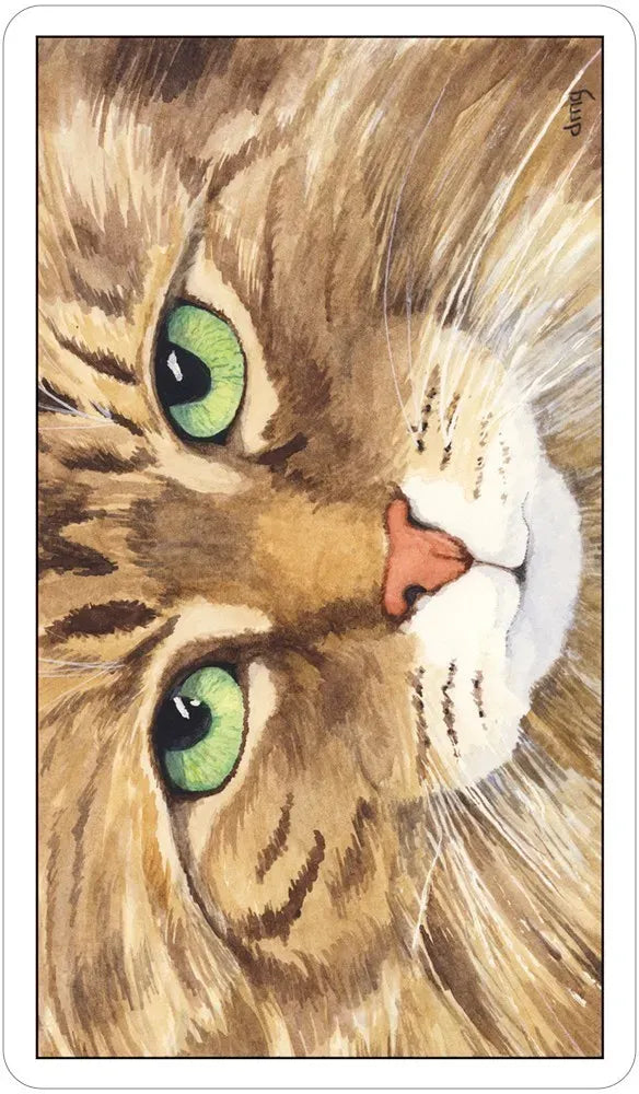 Close-up illustration of a cat's face with green eyes and brown fur.
