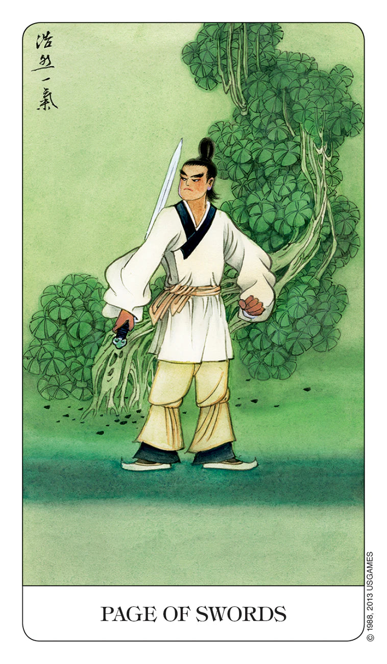 Illustration of a character holding a sword with greenery in the background, labeled 'Page of Swords'.