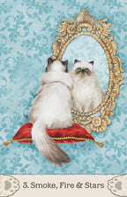 Two cats looking into an ornate mirror on a decorative background with '3. Smoke, Fire & Stars' text.