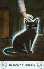 Black cat with glowing energy effect being petted by a hand, labeled '15. Electric Curiosity'.