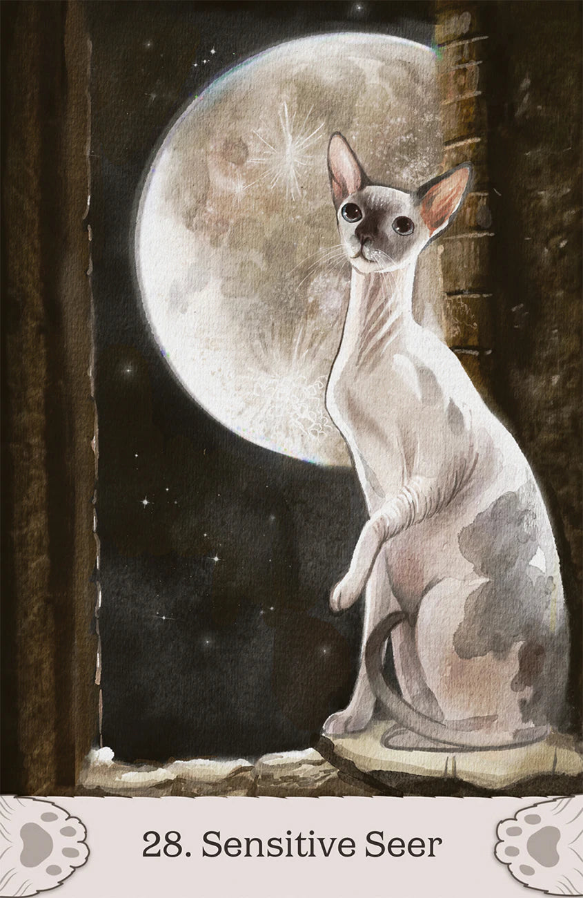 Sphynx cat sitting on a window ledge with a full moon in the background, labeled '28. Sensitive Seer'.