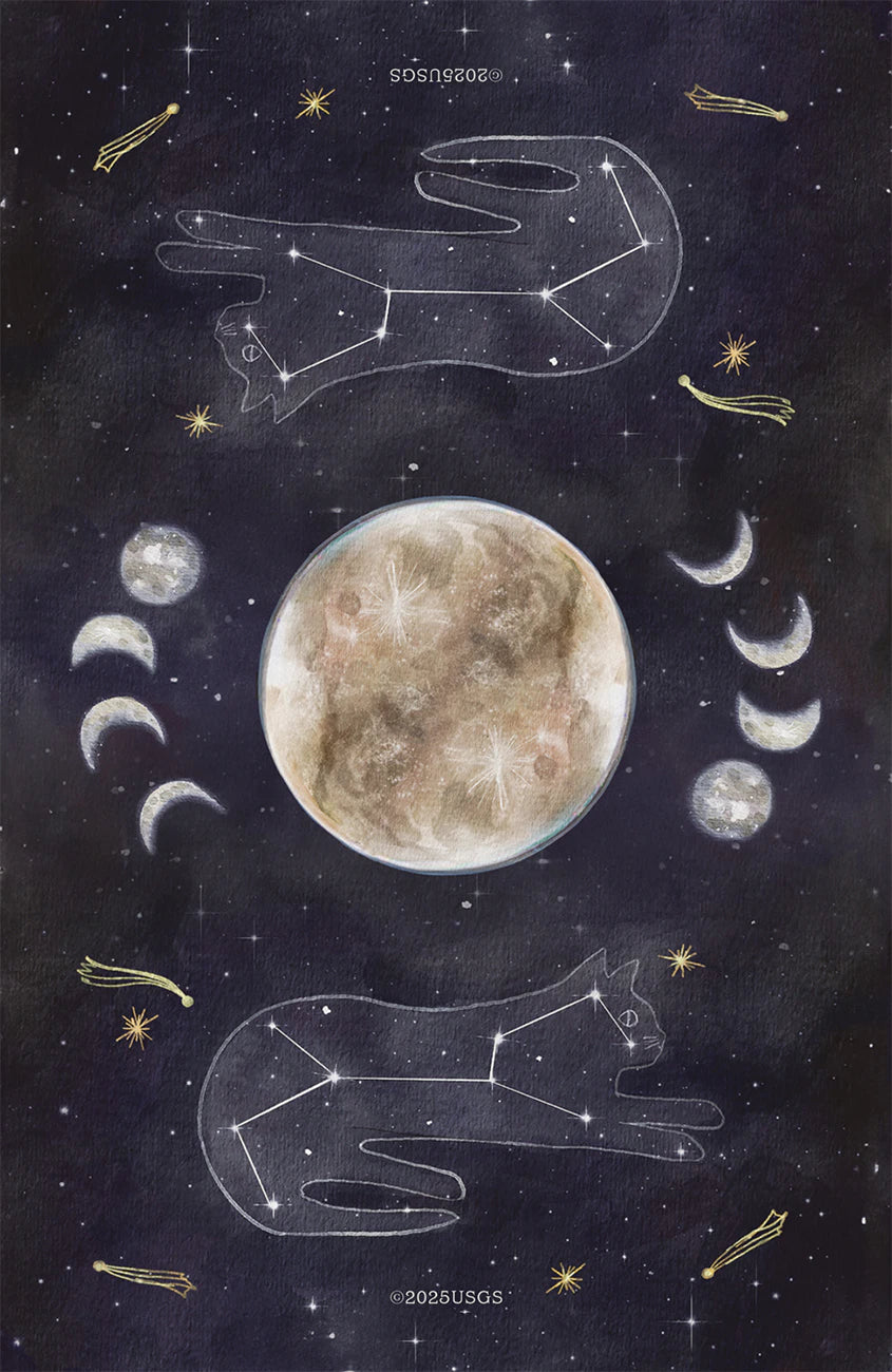 Illustration of a celestial scene with a moon and astrological signs on a dark background.