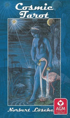 Cosmic Tarot book cover with a stylized illustration of a person and flamingo against a night sky.