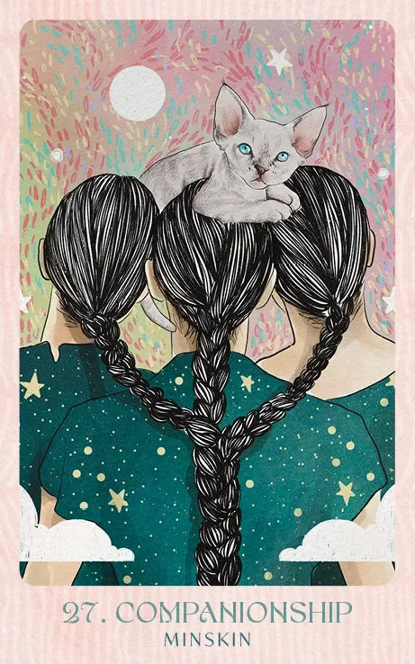 Illustration of a person with braided hair and a cat on top, with 'Companionship' text at the bottom.