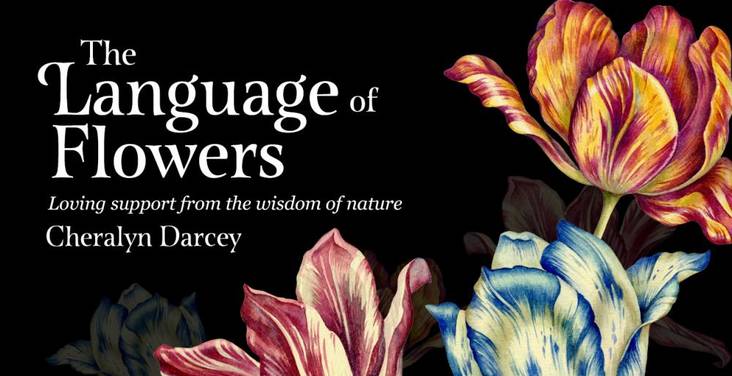 Book cover of 'The Language of Flowers' with colorful flowers on a black background
