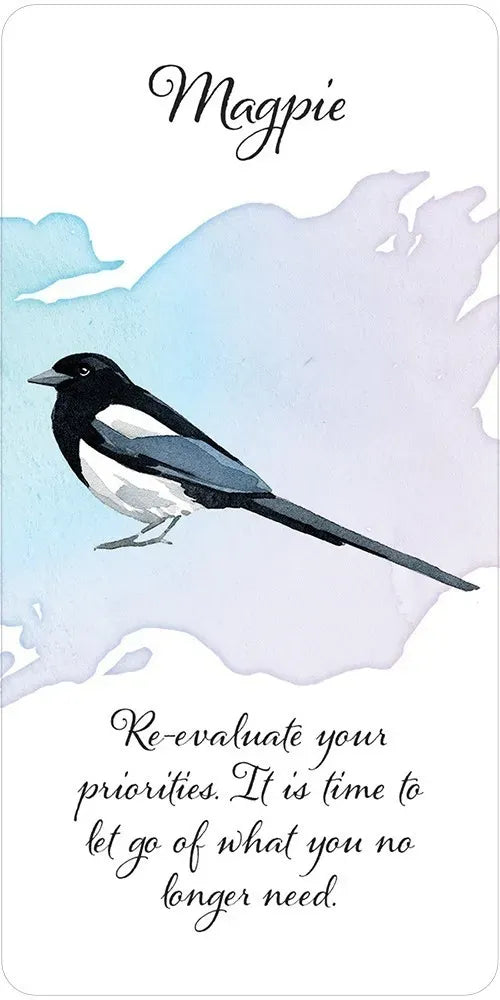 Magpie illustration with motivational quote on a white background