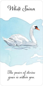 White swan illustration with a blue water background and motivational text.