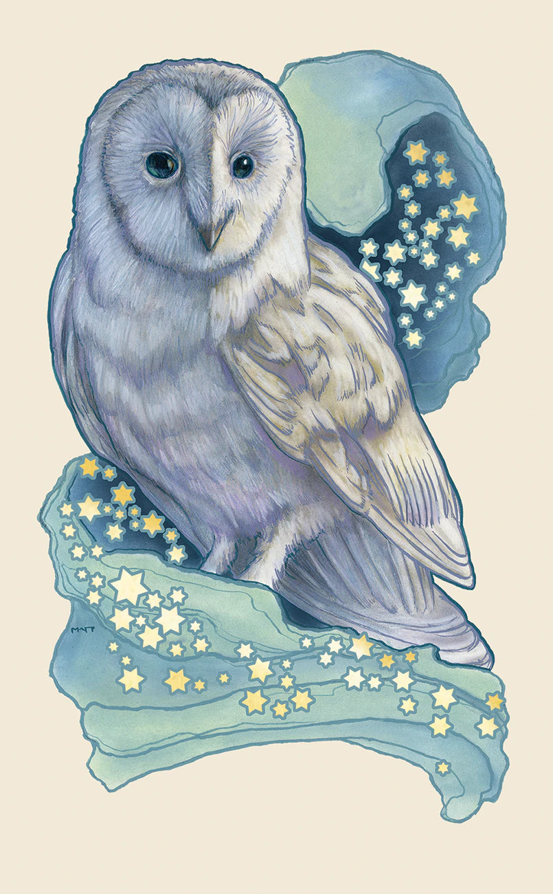 Illustration of an owl with starry background