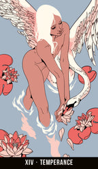 Illustration of a winged figure with flowers and water, labeled 'XIV Temperance'.