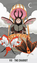 Card titled 'The Chariot' featuring a winged figure in a chariot with moths, on a gray background.