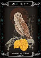 Tarot card featuring an owl, skull, and flowers with decorative elements on a dark background.