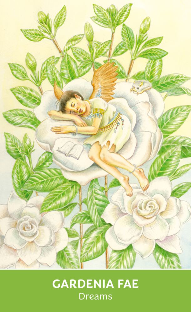 Flower Fae Oracle