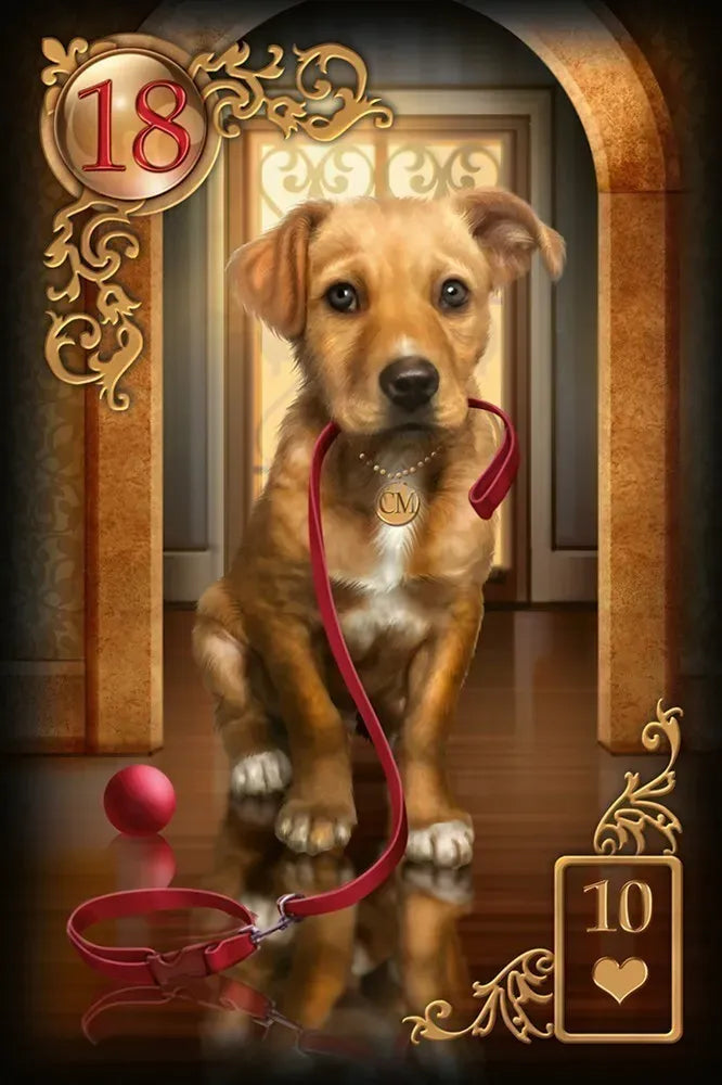 Dog with a red leash in front of a decorative archway