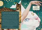 Two cat illustrations with text on a decorative background