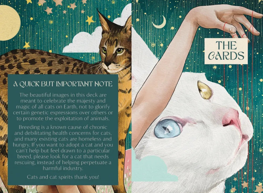 Two cat illustrations with text on a decorative background