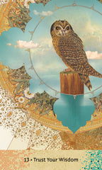 Owl on a perch with decorative patterns and 'Trust Your Wisdom' text
