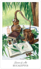 Illustration of a table with a copper still, books, and eucalyptus leaves on a white background.