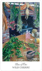 Illustration of herbs and a mortar and pestle on a table with a brick wall and hanging plants in the background.
