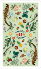 Collection of nature-themed stickers with plants, flowers, and butterflies on a light green background.