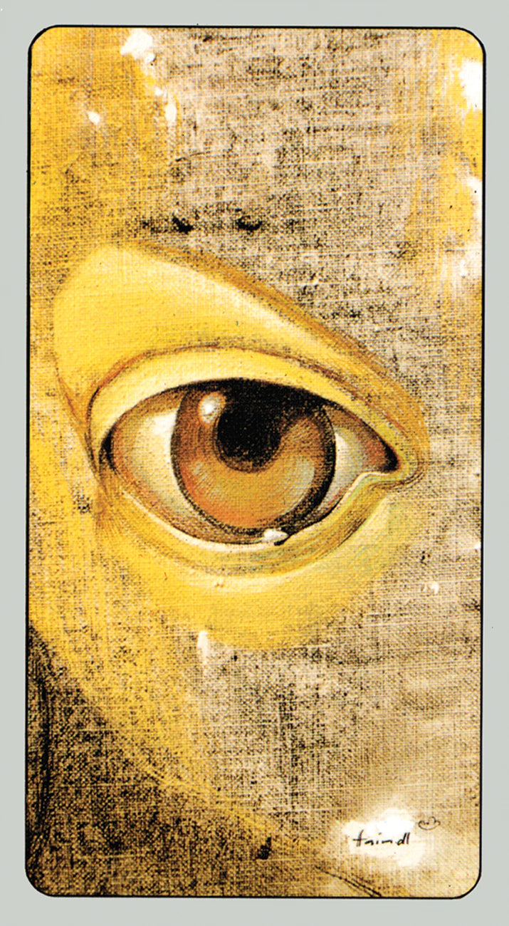 Close-up of a textured surface with an eye-like design