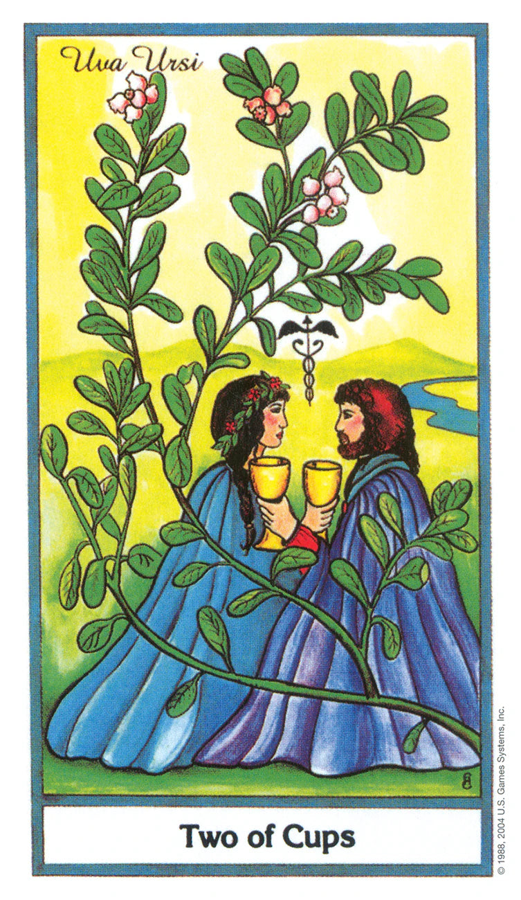 Tarot card featuring two people holding cups under a tree with berries, labeled 'Two of Cups'.