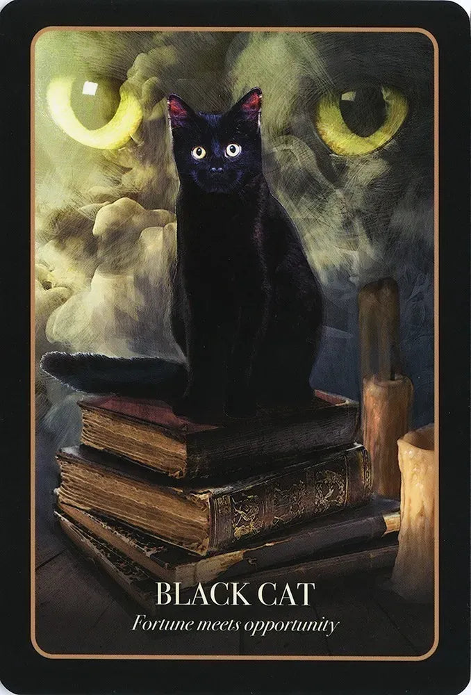 Black cat on stacked books with a mystical background, featuring text 'Black Cat: Fortune meets opportunity'.
