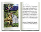 Open book with a colorful illustration of a woman and lion in a natural setting
