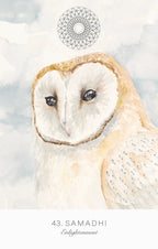 White owl with a blurred background and 'Samadhi' text at the bottom.