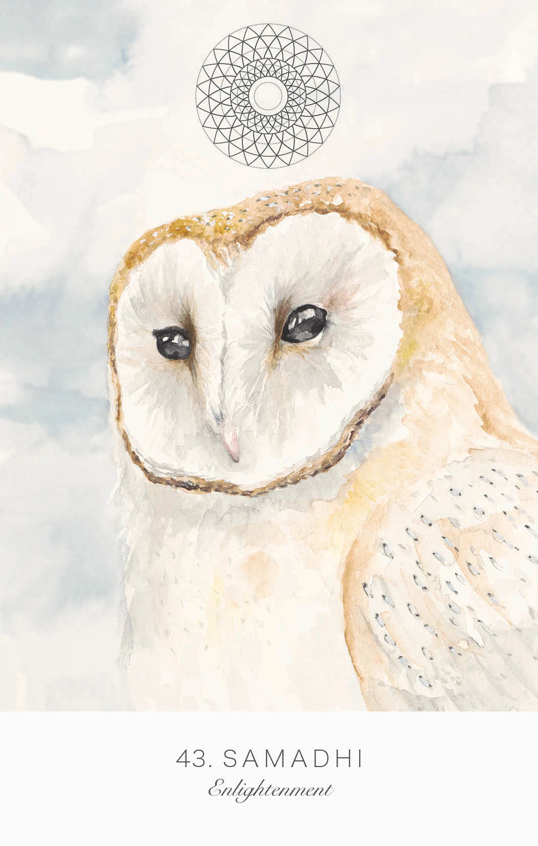 White owl with a blurred background and 'Samadhi' text at the bottom.