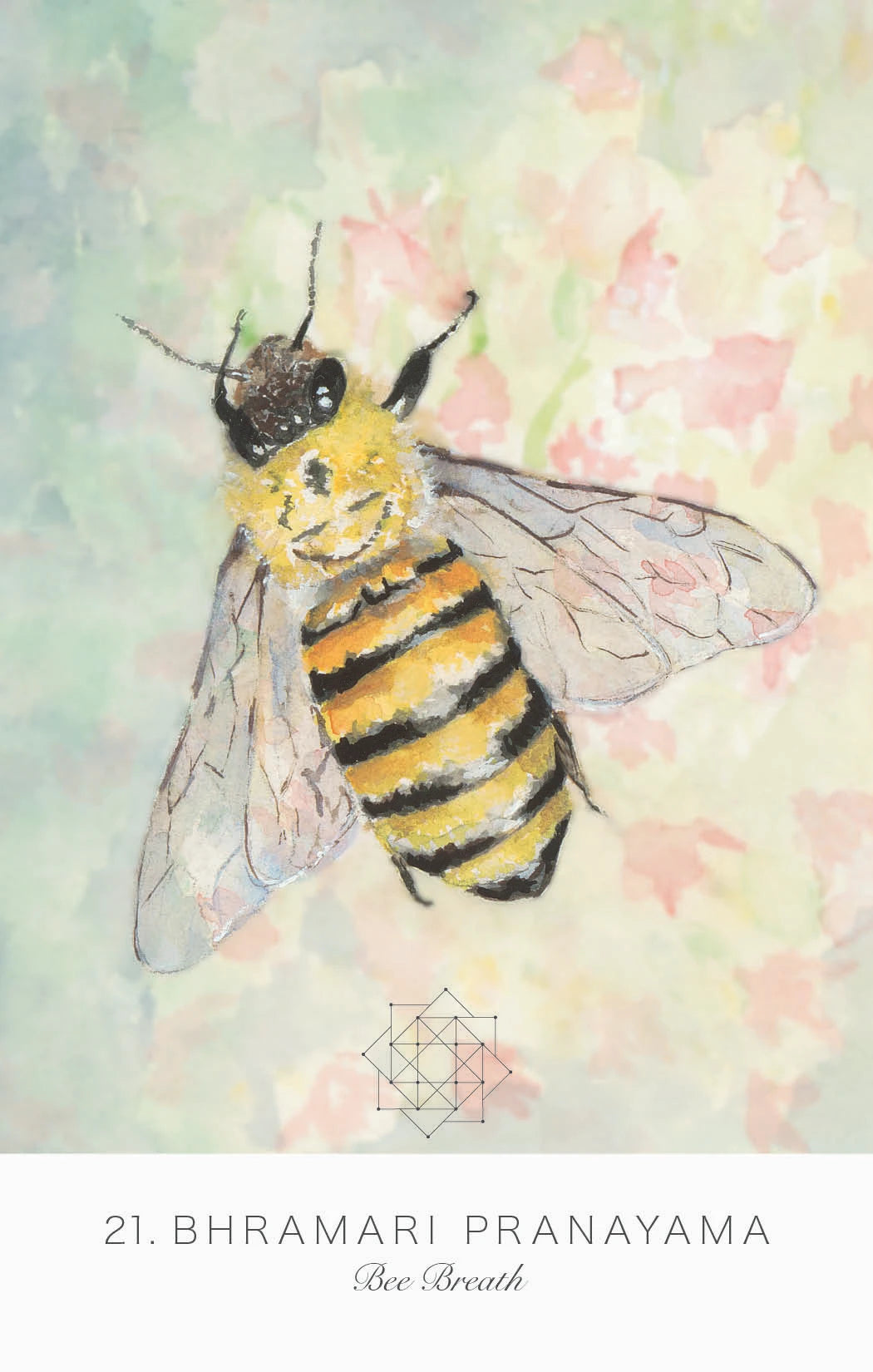 Land Sky Oracle: A Journey Through Patanjali's Eight Limbs of Yoga