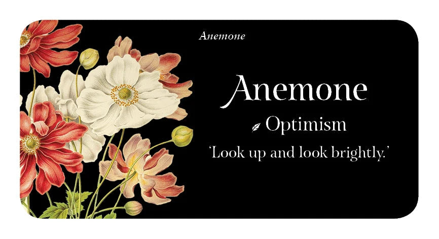Floral design with anemone flowers on a black background, featuring the word 'Anemone' and a quote.