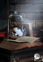 Open book on a dark surface with a skull and books in the background