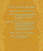 A text-based informational graphic on a mustard yellow background with decorative corner motifs. The text reads 'SHIVA LINGA MUDRA' followed by benefits, instructions, caution, and focus points in white lettering.