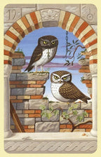 Two owls perched on stone walls with a decorative archway in the background
