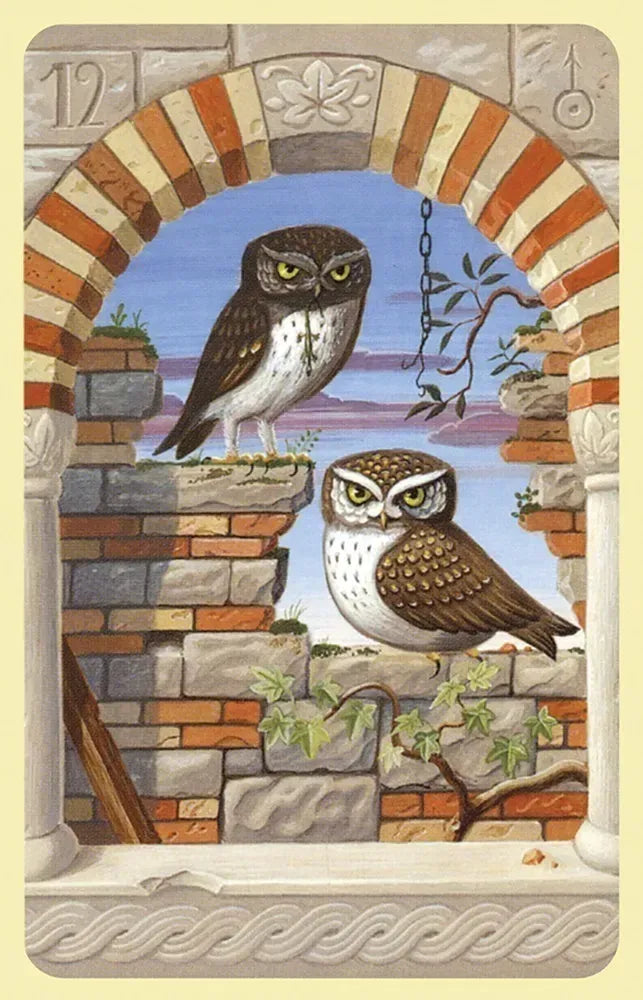 Two owls perched on stone walls with a decorative archway in the background