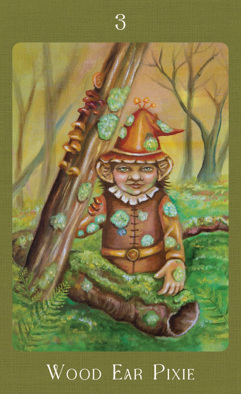 Wood Ear Pixie card from a fantasy-themed deck with a forest background