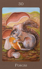 Illustration of a squirrel with porcini mushrooms on a card labeled '30 Porgini'.