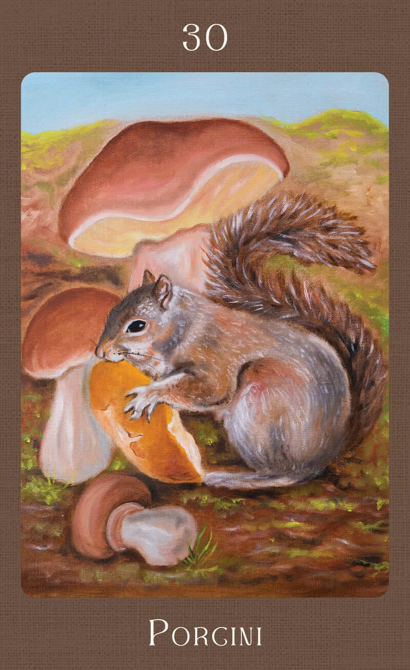 Illustration of a squirrel with porcini mushrooms on a card labeled '30 Porgini'.