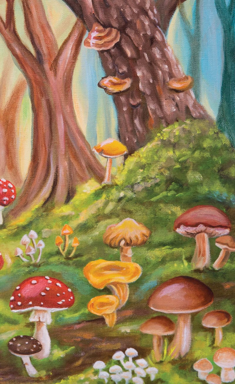 Illustration of mushrooms in a forest setting with trees and grass.