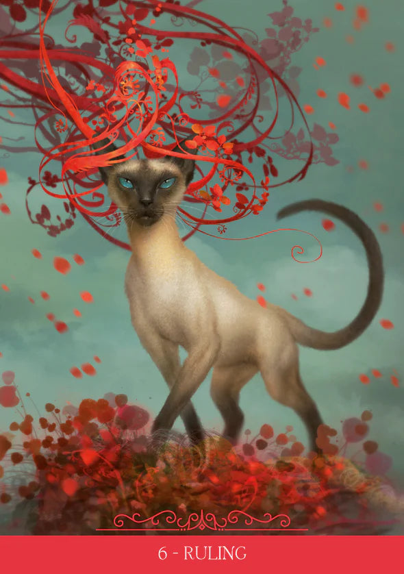 Siamese cat with red decorative elements on a textured background